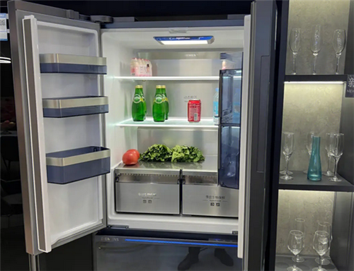 Troubleshooting: Why Your Refrigerator Light Won't Turn On and Making No Noise