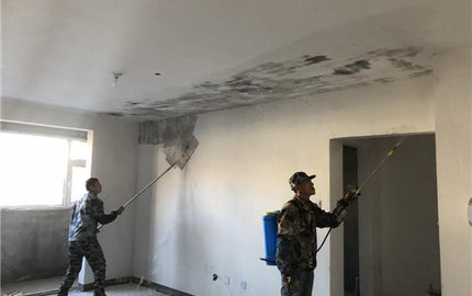 How to Address Paint Whitening on the Surface