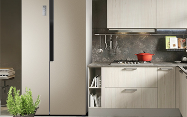 Understanding Refrigerator Issues: Light On Yet No Cooling