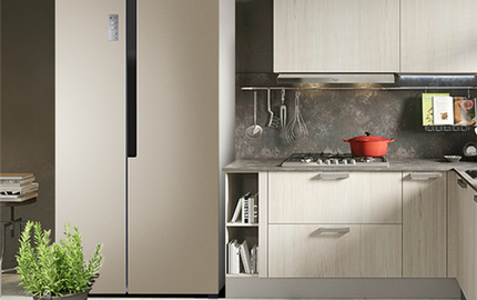 Understanding Refrigerator Issues: Light On Yet No Cooling