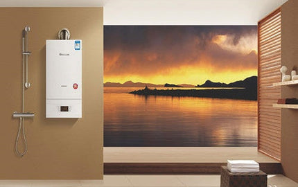 Leaking strain alleviation Valve to your Wall-Hung Boiler? clean restore manual