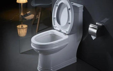 How to Stop Your Toilet Tank from Running and Save Water