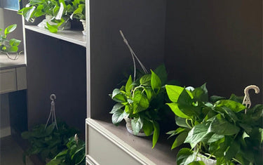 How to Quickly Eliminate Formaldehyde from Your Furniture