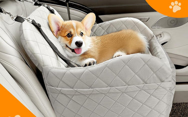 Travel in Comfort: The Dog Booster Seat with Detachable Cushion and Memory Foam