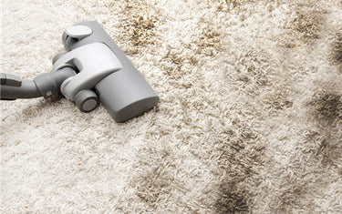 Expert Tips for Cleaning and Caring for Your Coffee Table Carpet