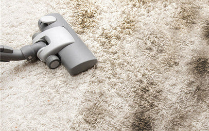 Expert Tips for Cleaning and Caring for Your Coffee Table Carpet