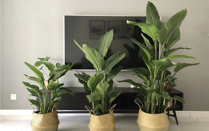 New Furniture and Formaldehyde Emissions: What You Need to Know Before Moving In