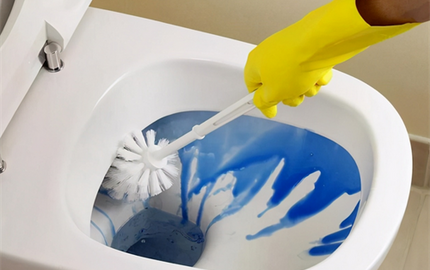 Simple Solutions to Banish Toilet Urine Odor
