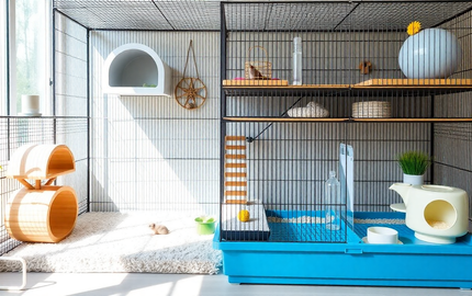 Unlock the Ultimate Indoor Pet Habitat: Discover the Versatile All-In-One Pet Cage