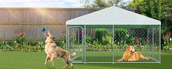 Dog Supplies
