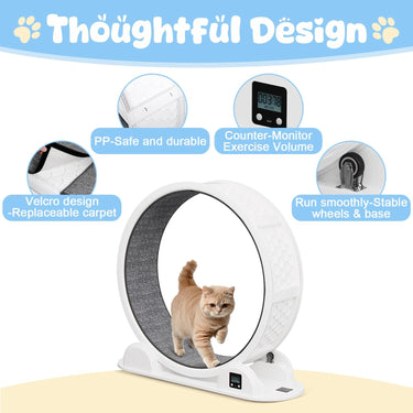 LotFun 41” Cat Exercise Wheel with Pedometer, Cat Running Wheel for Indoor Cats, 10 Minutes Fast and Easy Installation, Cat Treadmill for Cat's Fitness & Health, Suitable for Most Cats(White)