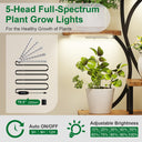 LotFun Plant Stand Indoor with Grow Lights, 8-Tiered Metal Plant Shelf, 61" Tall Plant Stand for Indoor Plants Multiple, S-Shaped Display Rack for Indoor Plants, Living Room, Garden, Patio