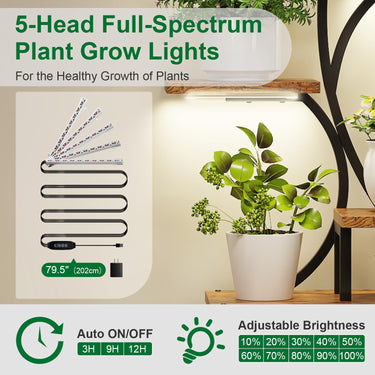LotFun Plant Stand Indoor with Grow Lights, 8-Tiered Metal Plant Shelf, 61" Tall Plant Stand for Indoor Plants Multiple, S-Shaped Display Rack for Indoor Plants, Living Room, Garden, Patio