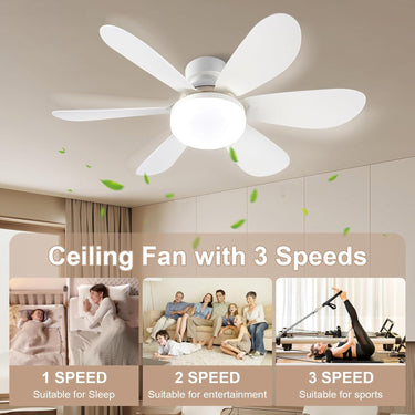 Modern Ceiling Fan with LED Light - Quiet Motor, Ceiling Fan with Light and Remote Control, 3 Speed & Color Temperature Settings Energy Efficient,for Living Room, Bedroom, Easy Install