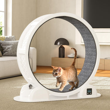 LotFun 41” Cat Exercise Wheel with Pedometer, Cat Running Wheel for Indoor Cats, 10 Minutes Fast and Easy Installation, Cat Treadmill for Cat's Fitness & Health, Suitable for Most Cats(White)
