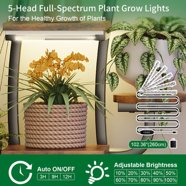 LotFun Plant Stand Indoor with Grow Lights, 9 Tiered Indoor Metal Plant Shelf 2 Pack, 64" Tall Plant Stand for Indoor Plants Multiple, Curved Shape Rack Plant Holder, Large Holder Display Shelf for Living Room, Garden, Patio