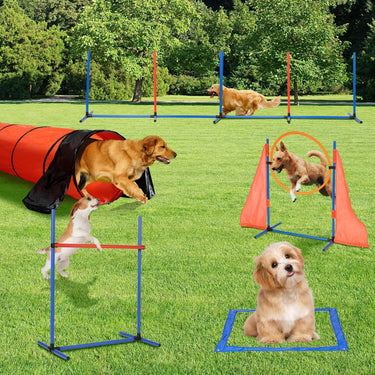 Dog Agility Training Equipment, Dog Outdoor Game Set with Tunnel, Agility Hurdle, Weave Poles, Jump Ring, Pause Box, Toy Balls and Storage Bag, Perfect Obstacle Course Backyard Set Indoor & Outdoor